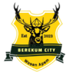 Berekum City