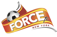 Force New York