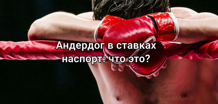 Андердог в ставках на спорт: что это?