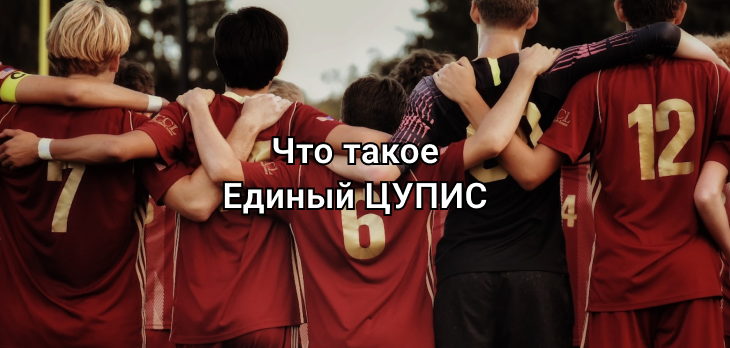 Что такое ЕДИНЫЙ ЦУПИС